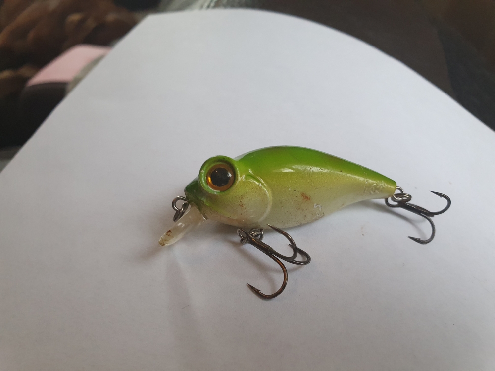 C'ultiva Bug Eye Bait BB-48F