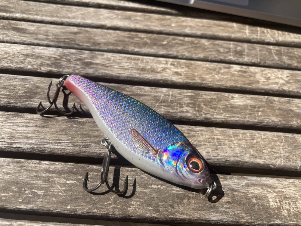 Savage Gear 3D Roach Jerkster 90