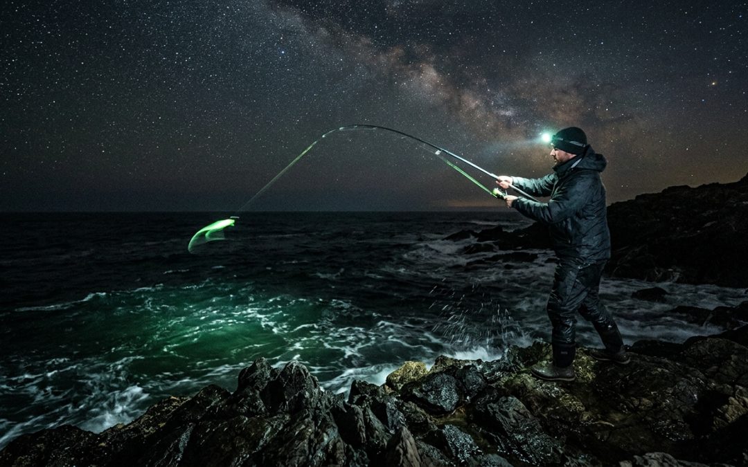 Comment pêcher le calamar la nuit : techniques et spots